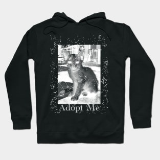 Adopt Me Hoodie